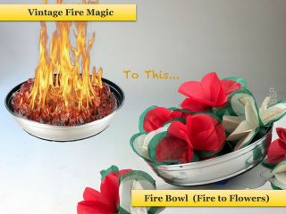Vintage Magic Fire Bowl Merv Taylor Ignition Owen Supreme To Flowers Firebowl