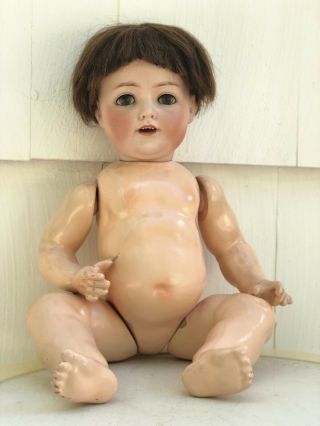 Antique 20 INCH German Bisque HEAD DOLL COMPOSITION BODY BOY MARKED JDK 260 2