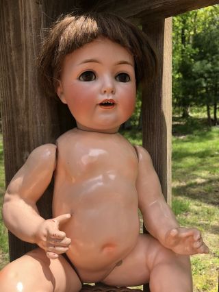 Antique 20 INCH German Bisque HEAD DOLL COMPOSITION BODY BOY MARKED JDK 260 3