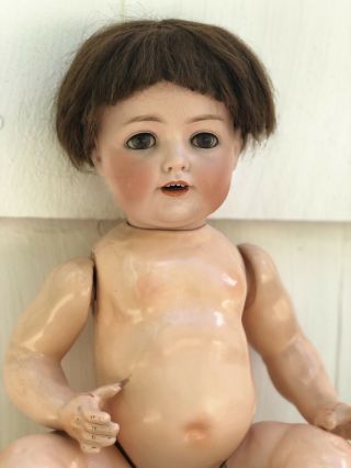 Antique 20 INCH German Bisque HEAD DOLL COMPOSITION BODY BOY MARKED JDK 260 4