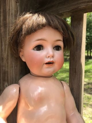 Antique 20 INCH German Bisque HEAD DOLL COMPOSITION BODY BOY MARKED JDK 260 5