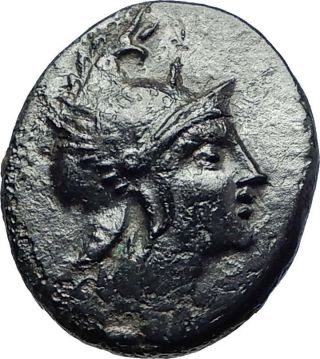 Philip V King Of Macedonia 180bc Rare Greek Coin Hero Perseus Flute I73191