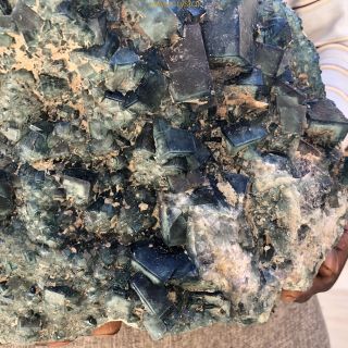31.  4LB Rare Natural Green Fluorite Crystal Cluster Specimen Healing MA2380 11