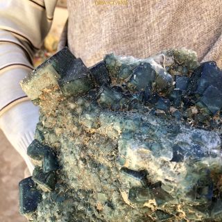 31.  4LB Rare Natural Green Fluorite Crystal Cluster Specimen Healing MA2380 9