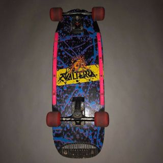 1980s Valterra Back To The Future Skateboard Deck Santa Cruz Salba Sticker 80s