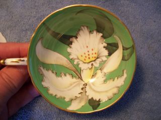 Rare Large White Iris Flower on Green Paragon Cup Saucer Double Warrant 2