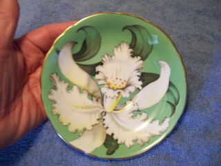 Rare Large White Iris Flower on Green Paragon Cup Saucer Double Warrant 3