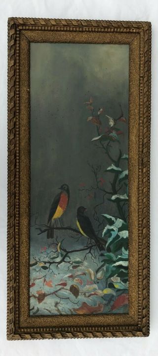 Birds Robins In Winter Antique Vintage Late 19th Century Oil Painting On Board