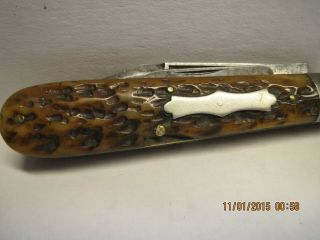 Vintage Wolfertz & Co.  Allentown Bone Handle Pocket Knife 5