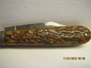 Vintage Wolfertz & Co.  Allentown Bone Handle Pocket Knife 6