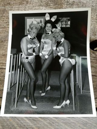 Vintage Playboy Club Hotel Casino Bunny Photograph Sexy Pinup Playmate 8x10 B&w