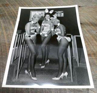 Vintage Playboy Club Hotel Casino Bunny Photograph Sexy Pinup Playmate 8x10 B&W 2