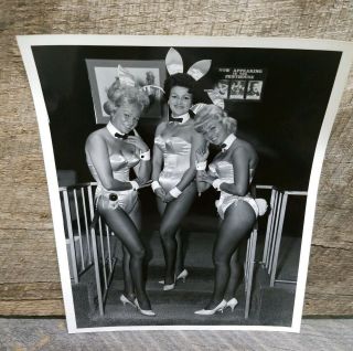 Vintage Playboy Club Hotel Casino Bunny Photograph Sexy Pinup Playmate 8x10 B&W 4