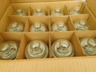 Vintage Apothecary Drug Store Condiment Clear Glass Jars With Lids Case Of 24