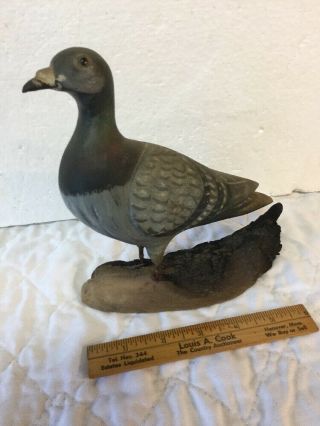 Vintage Hand Carved Painted Pigeon Bird By R C Orcutt Dated 1973 Decoy Carver