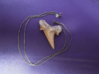 Vintage Shark Tooth Sterling Silver Chain Necklace