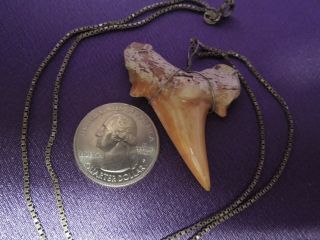 Vintage Shark Tooth Sterling Silver Chain Necklace 2