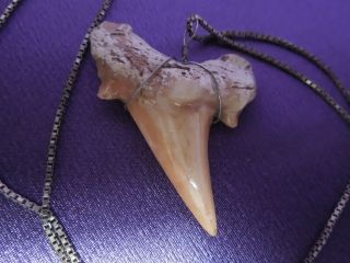 Vintage Shark Tooth Sterling Silver Chain Necklace 6