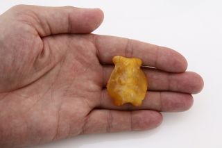 Vintage Antique Egg Yolk Baltic Amber Carved Owl Piece 8.  6g P150625 - 6