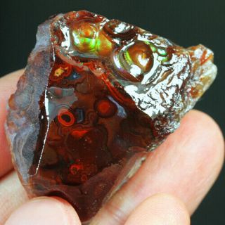 108.  8ct 100 Natural Mexican Multi - Colored Fire Agate Facet Rough Yfm1675