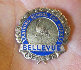 Rare Circa 1895 York - Bellevue - School Of Nursing Pin Gold / Nurse