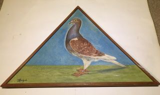 Vintage Racing Pigeon Portrait Oil Painting Signed Hansford In Triangular Frame