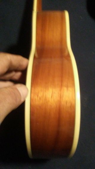 Hawaii LYON WASHBURN UKULELE LU 5 Koa Veneer Mother - of - Pearl Inlay VINTAGE 3