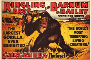 Vintage 1917 Circus Poster Ringling Bros Barnum & Bailey Gorilla Re - Strike 1970