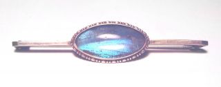 Thomas L Mott Antique Victorian Sterling 925 Iridescent Blue Butterfly Wing Pin