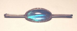 THOMAS L MOTT Antique VICTORIAN Sterling 925 IRIDESCENT BLUE Butterfly Wing PIN 2