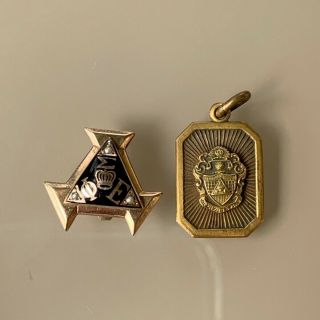 Vintage Phi Sigma Epsilon Fraternity Sorority Greek Pin Badge And Crest Charm