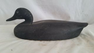 Antique Wildfowler Black Duck Decoy,  15.  5 ",  Glass Eyes,  Stamp Logo,  Old Saybrook Ct