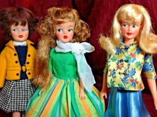 Vintage Ideal Long Hair Tammy And Friends Misty And Clone Standard Doll Co.