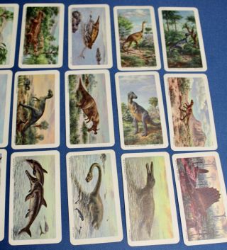 VINTAGE BROOKE BOND York COLLECTOR RED ROSE TEA CARDS - DINOSAURS 3