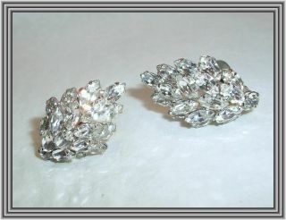 Sherman Clear Color - Marquise Crystals - Domed Leaf Motif Cluster Earrings Nr