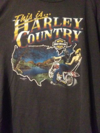 1983 Vintage 3d Emblem Harley Davidson T - Shirt Large