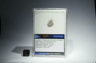 Strathmore Meteorite Fragment 0.  593g Rare & Historic.  Fell Scotland 1917