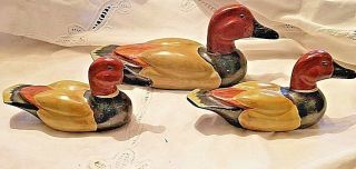 Wood Duck Decoys Canvasback Antique Vintage Handpainted Set Of 3