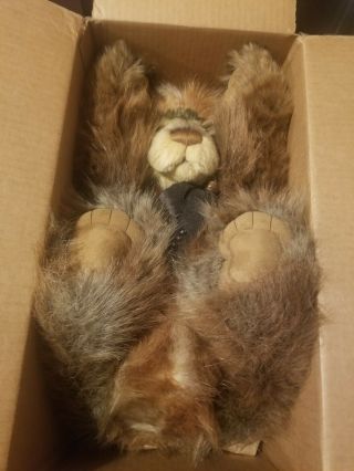 Htf Isabelle lee Charlie bears rare big boy major for my schnauzer baby sophie 5