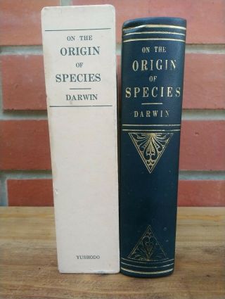 Charles Darwin On The Origin Of Species - Rare Yushodo Bookselers,  Tokyo 1977 An
