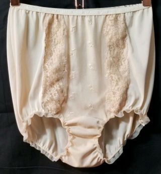 Vintage Sheer Nylon Mushroom Gusset Nude Floral Size 6 Granny Panties Intimates