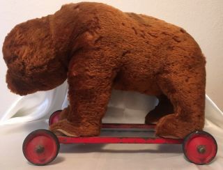Antique Vintage Mohair Bear Pull Toy On Tin Wheels - Possibly Steiff?