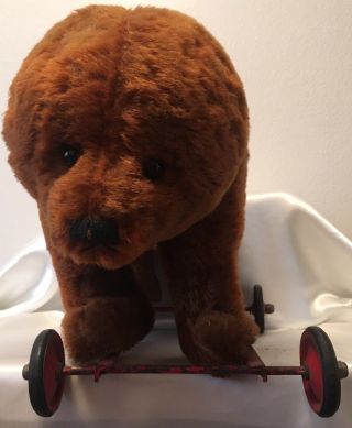 Antique Vintage Mohair Bear Pull Toy On Tin Wheels - Possibly Steiff? 2