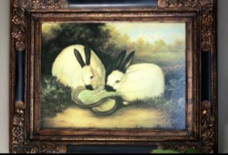 Rare Old Handmade Oil Painting,  Two Himalayan Rabbits,  A Painting By Zhujinbo