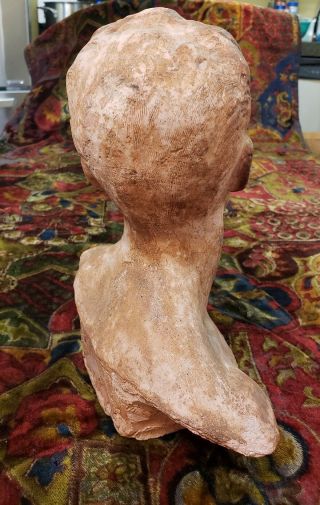Vintage Terra Cotta Adult Male Bust Beautifully Model 4
