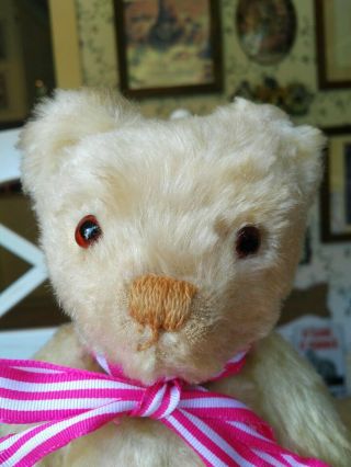 Antique/vintage 1940s Or 1950s White Mohair Invicta Teddy Bear England Euc 12in