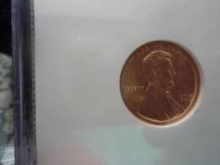 1995 1c Double Die Obverse Lincoln Cent - NGC MS69 Rare Grade - LOW POP 3