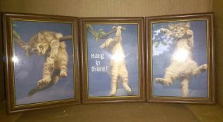 Vintage Set Of 3 Framed Cards? W/ Glass 1970s Hang In There Tabby Cats Branches