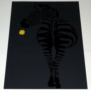 Zebra With Yellow Flower Black Art Poster 1970 