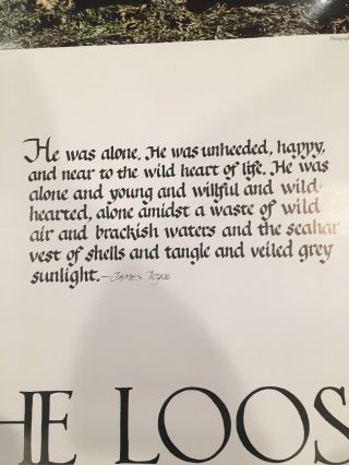 On The Loose,  Poster,  James Joyce,  1967,  By The Sierra Club,  Vintage 3